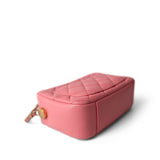 CHANEL Camera Case PINK 22S Pink Lambskin Quilted Camera Case Aged Gold Hardware -Knockoff
