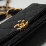 CHANEL Handbag Black Lambskin Quilted Entwined Single Flap Mini Aged Hardware -Knockoff
