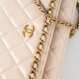 CHANEL Handbag Cream Nude/ Ecru Lambskin Quilted Chain Around Wallet On Chain WOC Aged Gold Hardware -Knockoff
