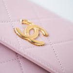 CHANEL Handbag Pink 21S Light Pink / Rose Clair Calfskin Quilted All About Pearls Small Hobo Bag -Knockoff
