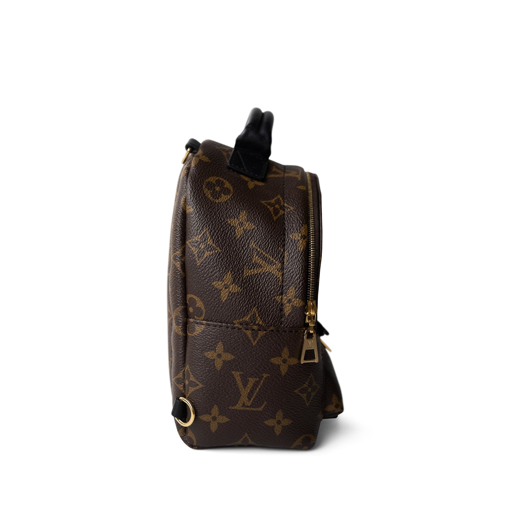 Louis Vuitton Backpack Backpack Palm Springs Mini Monogram Canvas Backpack -Knockoff
