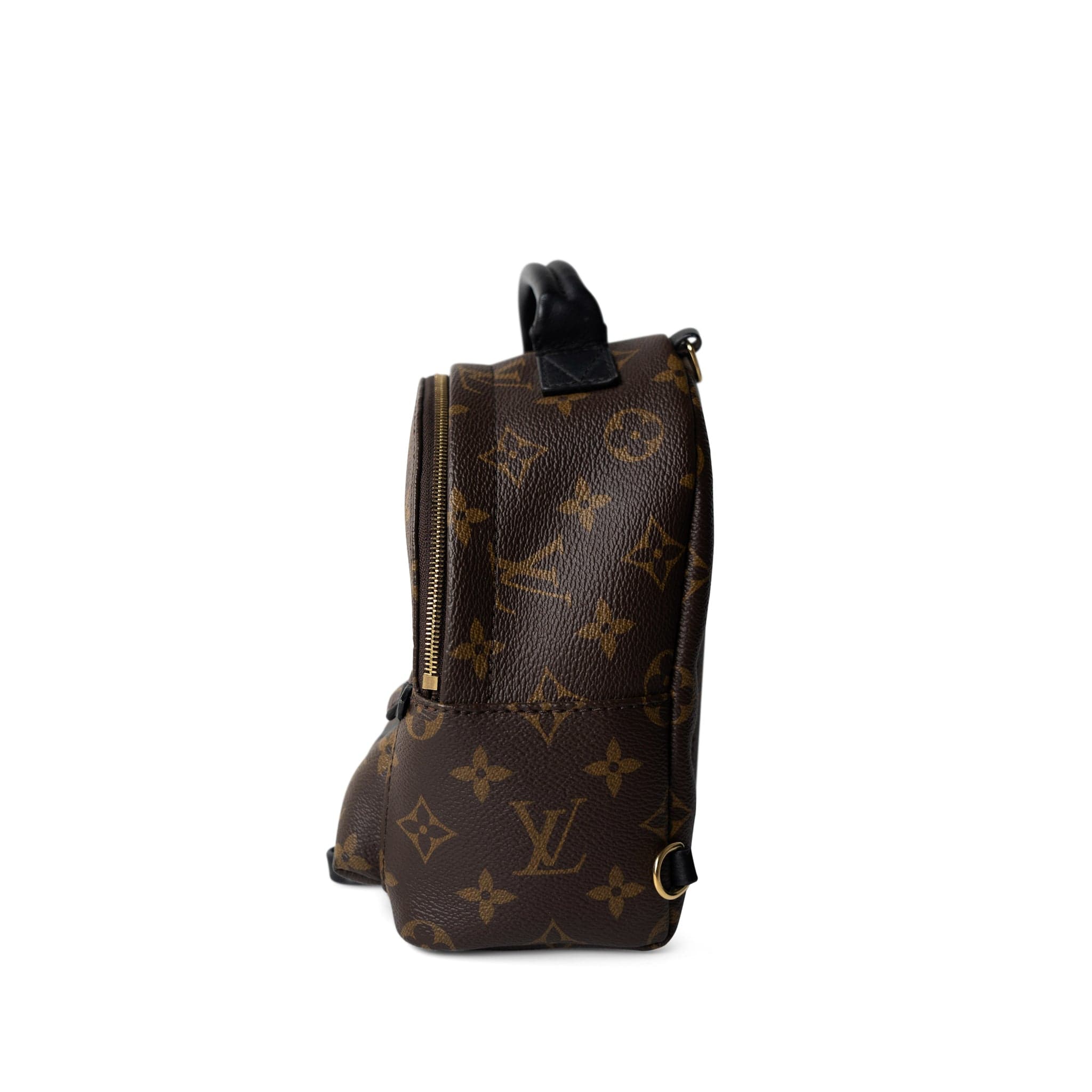 Louis Vuitton Backpack Backpack Palm Springs Mini Monogram Canvas Backpack -Knockoff
