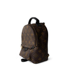 Louis Vuitton Backpack Backpack Palm Springs Mini Monogram Canvas Backpack -Knockoff
