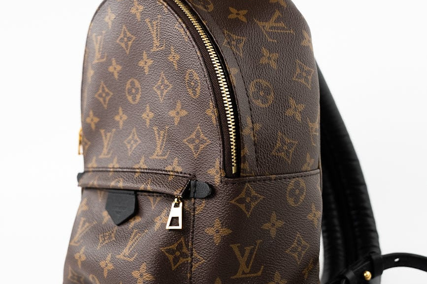 Louis Vuitton Backpack Brown Palm Springs PM Monogram Back Pack -Knockoff
