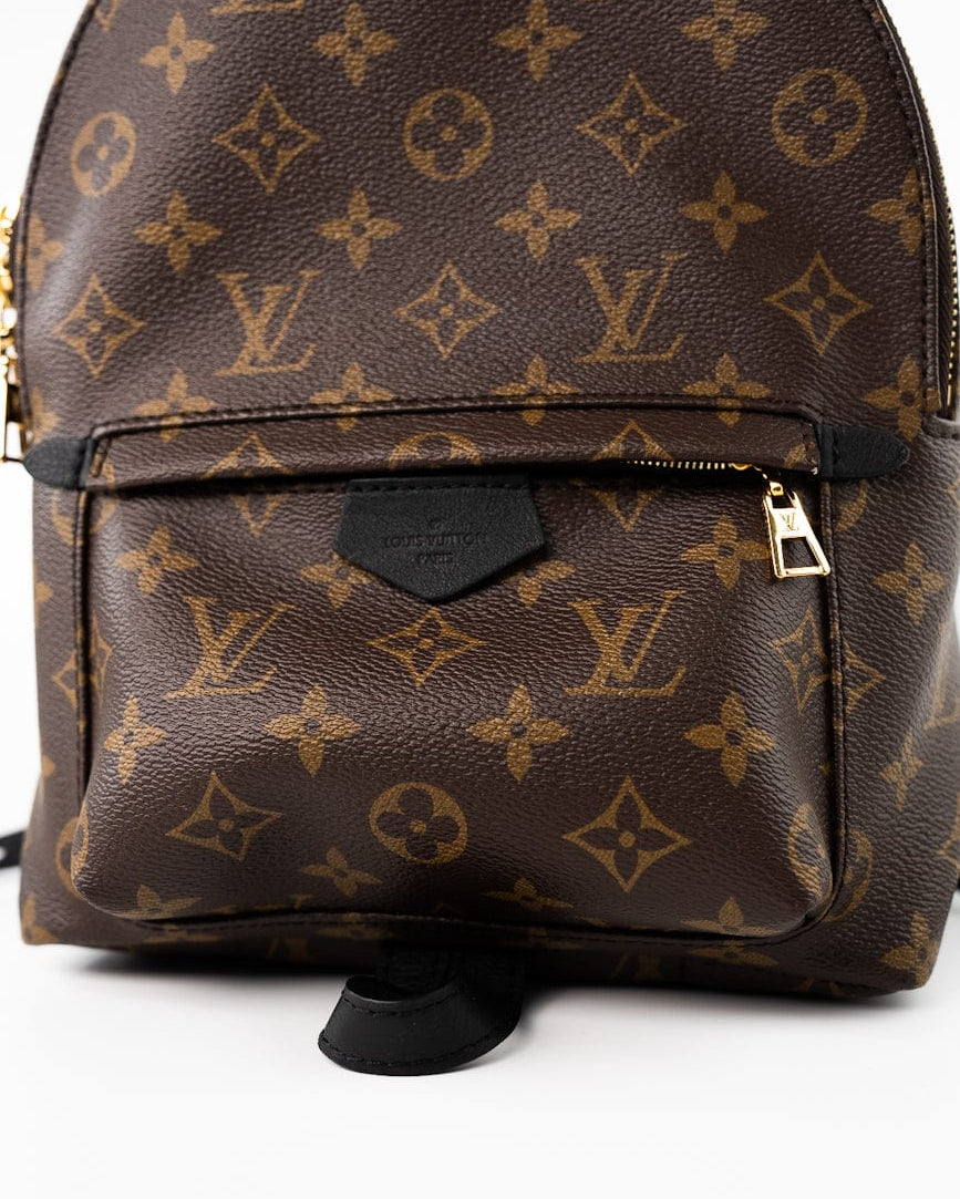 Louis Vuitton Backpack Brown Palm Springs PM Monogram Back Pack -Knockoff
