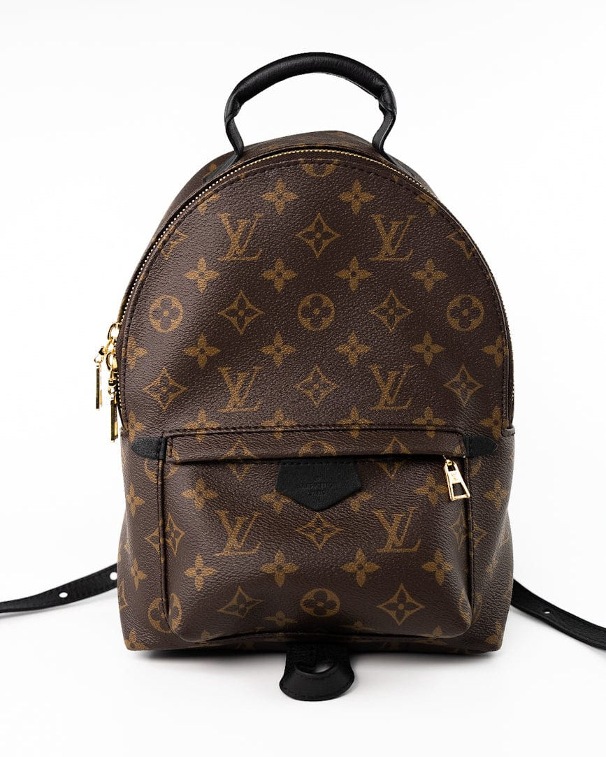 Louis Vuitton Backpack Brown Palm Springs PM Monogram Back Pack -Knockoff
