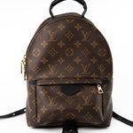 Louis Vuitton Backpack Brown Palm Springs PM Monogram Back Pack -Knockoff
