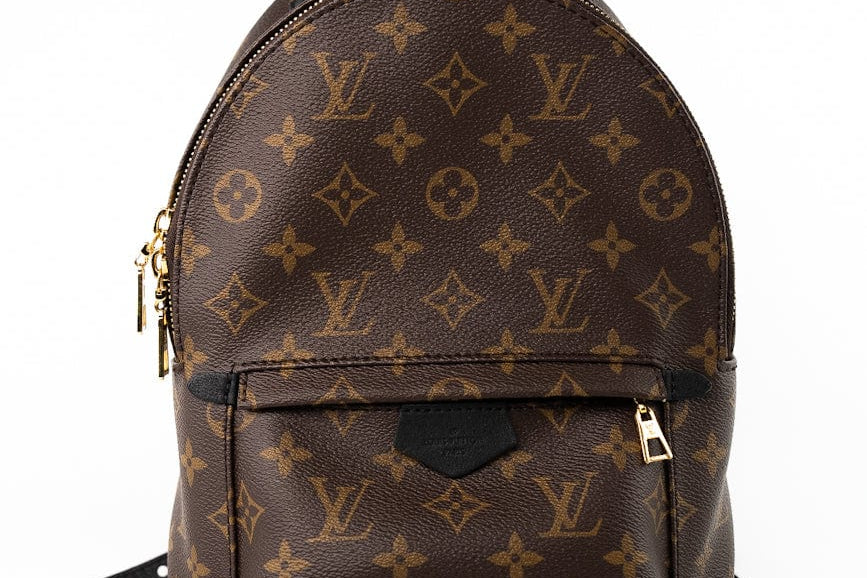 Louis Vuitton Backpack Brown Palm Springs PM Monogram Back Pack -Knockoff
