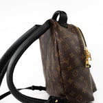 Louis Vuitton Backpack Brown Palm Springs PM Monogram Back Pack -Knockoff
