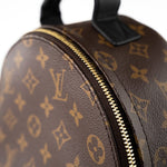 Louis Vuitton Backpack Brown Palm Springs PM Monogram Back Pack -Knockoff
