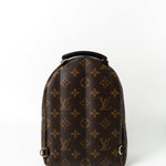 Louis Vuitton Backpack Louis Vuitton Palm Springs Mini Backpack Monogram -Knockoff
