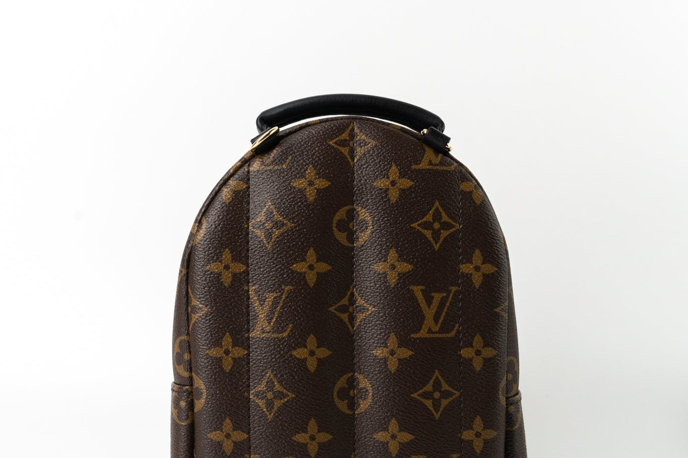 Louis Vuitton Backpack Louis Vuitton Palm Springs Mini Backpack Monogram -Knockoff
