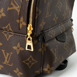 Louis Vuitton Backpack Louis Vuitton Palm Springs Mini Backpack Monogram -Knockoff
