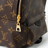 Louis Vuitton Backpack Louis Vuitton Palm Springs Mini Backpack Monogram -Knockoff
