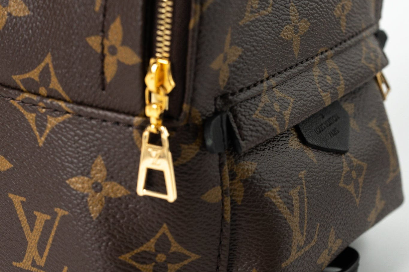 Louis Vuitton Backpack Louis Vuitton Palm Springs Mini Backpack Monogram -Knockoff
