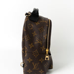 Louis Vuitton Backpack Louis Vuitton Palm Springs Mini Backpack Monogram -Knockoff
