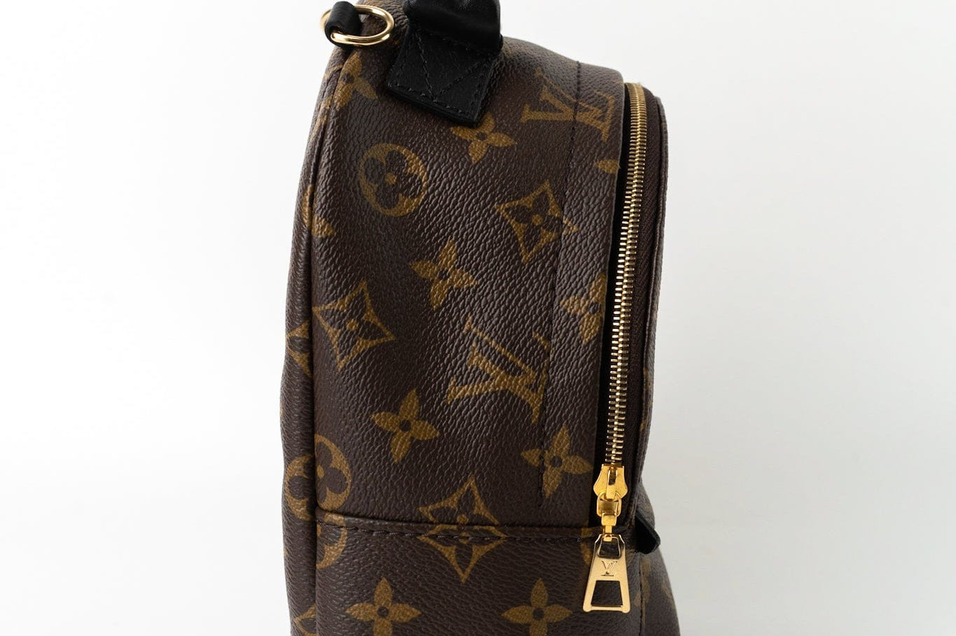 Louis Vuitton Backpack Louis Vuitton Palm Springs Mini Backpack Monogram -Knockoff
