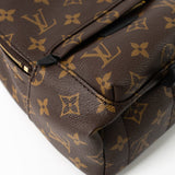 Louis Vuitton Backpack Louis Vuitton Palm Springs Mini Backpack Monogram -Knockoff
