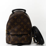 Louis Vuitton Backpack Louis Vuitton Palm Springs Mini Backpack Monogram -Knockoff
