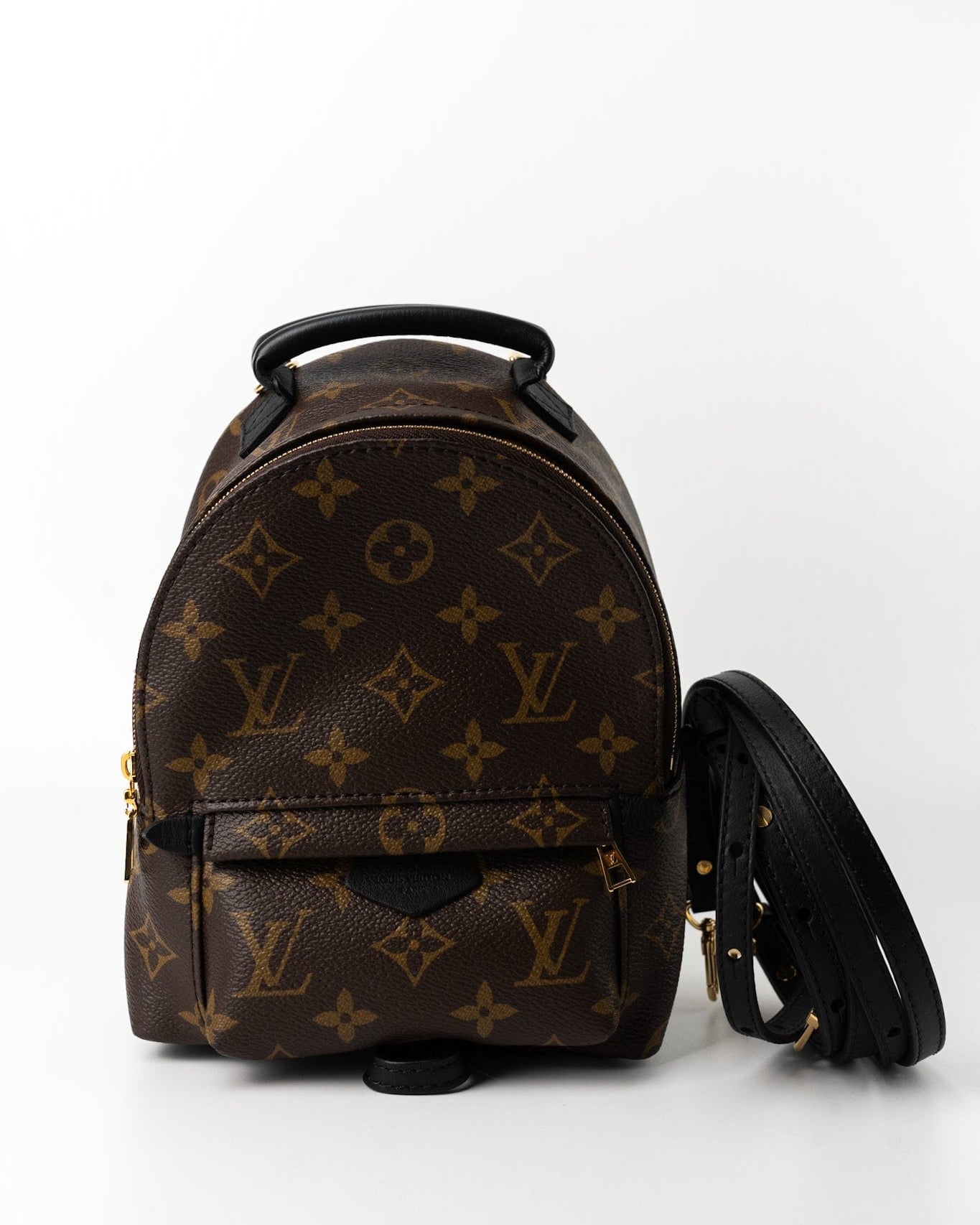 Louis Vuitton Backpack Louis Vuitton Palm Springs Mini Backpack Monogram -Knockoff
