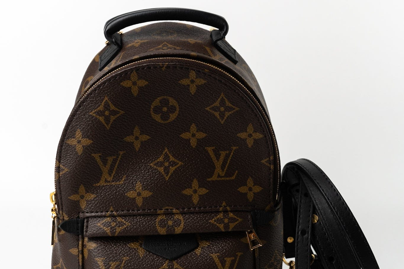 Louis Vuitton Backpack Louis Vuitton Palm Springs Mini Backpack Monogram -Knockoff
