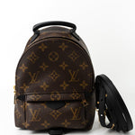 Louis Vuitton Backpack Louis Vuitton Palm Springs Mini Backpack Monogram -Knockoff
