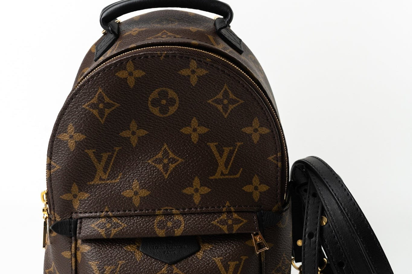 Louis Vuitton Backpack Louis Vuitton Palm Springs Mini Backpack Monogram -Knockoff
