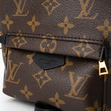 Louis Vuitton Backpack Louis Vuitton Palm Springs Mini Backpack Monogram -Knockoff
