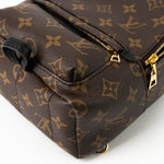 Louis Vuitton Backpack Louis Vuitton Palm Springs Mini Backpack Monogram -Knockoff
