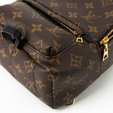 Louis Vuitton Backpack Louis Vuitton Palm Springs Mini Backpack Monogram -Knockoff
