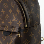 Louis Vuitton Backpack Louis Vuitton Palm Springs Mini Backpack Monogram -Knockoff
