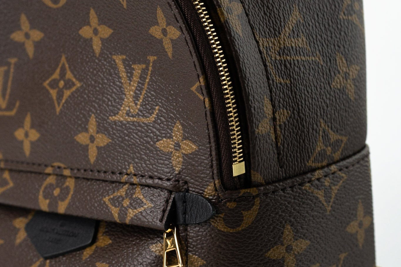 Louis Vuitton Backpack Louis Vuitton Palm Springs Mini Backpack Monogram -Knockoff
