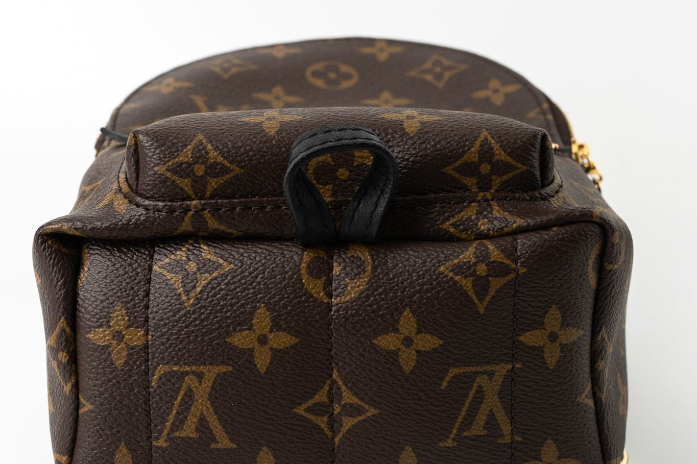 Louis Vuitton Backpack Louis Vuitton Palm Springs Mini Backpack Monogram -Knockoff
