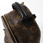 Louis Vuitton Backpack Louis Vuitton Palm Springs Mini Backpack Monogram -Knockoff
