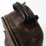 Louis Vuitton Backpack Louis Vuitton Palm Springs Mini Backpack Monogram -Knockoff
